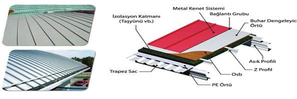 Large Image